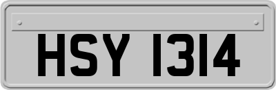 HSY1314