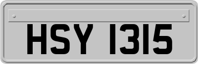 HSY1315