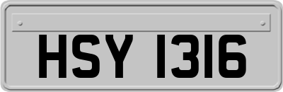 HSY1316