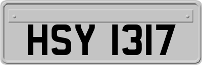 HSY1317