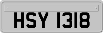 HSY1318