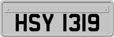 HSY1319