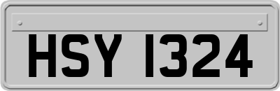 HSY1324