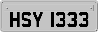 HSY1333