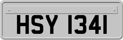 HSY1341