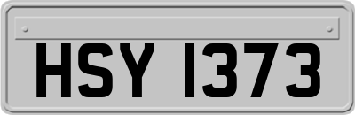 HSY1373