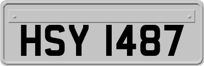 HSY1487