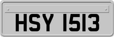 HSY1513