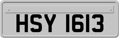 HSY1613