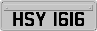 HSY1616