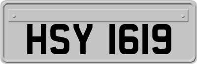 HSY1619