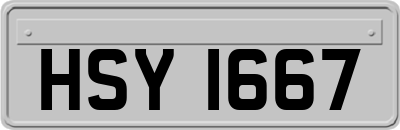 HSY1667