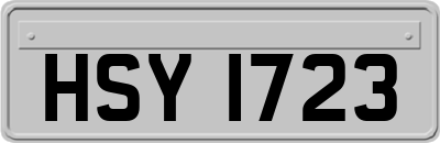 HSY1723