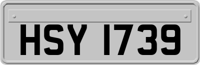 HSY1739