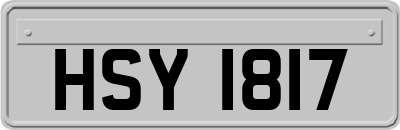 HSY1817