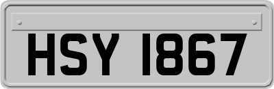 HSY1867