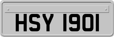 HSY1901