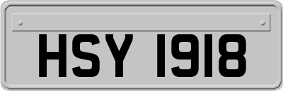 HSY1918