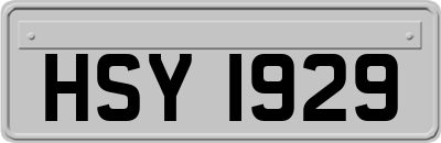 HSY1929