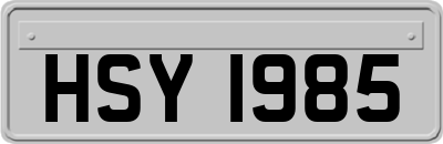 HSY1985