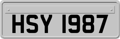 HSY1987