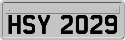 HSY2029