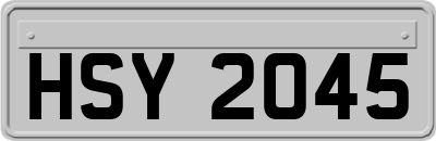 HSY2045