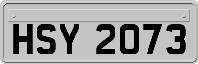 HSY2073