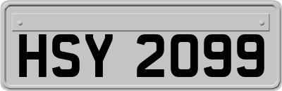 HSY2099