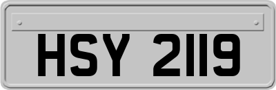 HSY2119