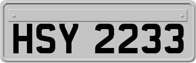 HSY2233