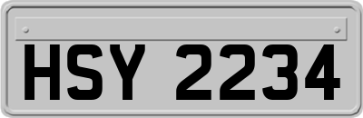 HSY2234