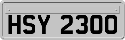 HSY2300