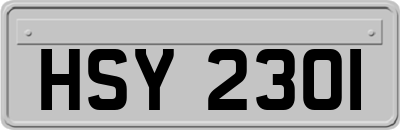 HSY2301