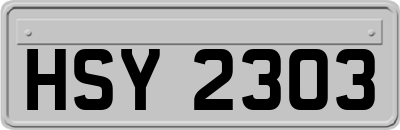HSY2303