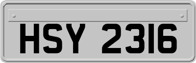 HSY2316