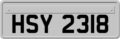 HSY2318