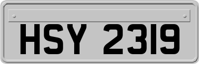 HSY2319