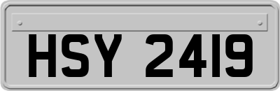 HSY2419