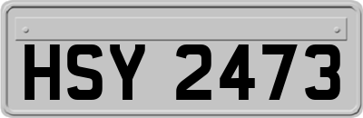 HSY2473