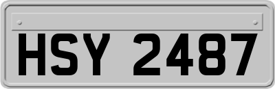 HSY2487