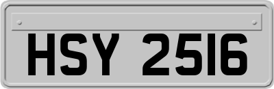 HSY2516