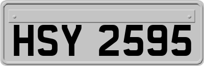 HSY2595