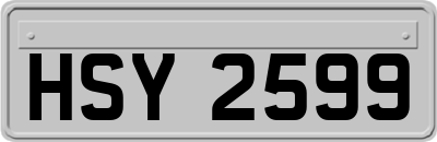 HSY2599