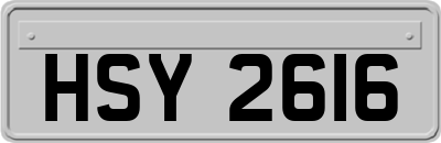 HSY2616