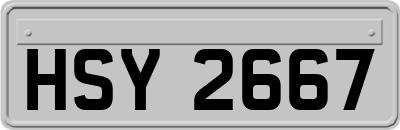 HSY2667