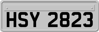 HSY2823