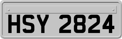 HSY2824