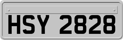 HSY2828