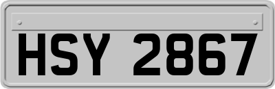 HSY2867